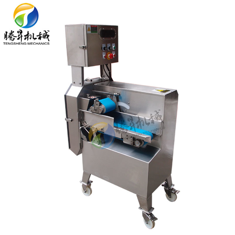 Double-Ended Cutting Machine Vegetable Slicing Machine with Frequency Conversion and Speed Regulation (TS-Q115B)