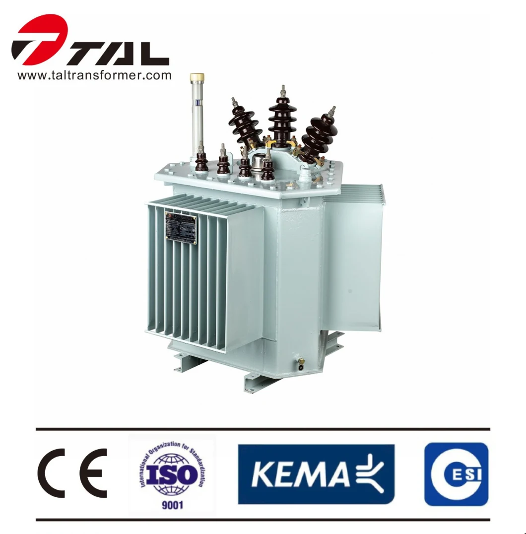 160kVA Three Phase Oil Immersed Power Transformer