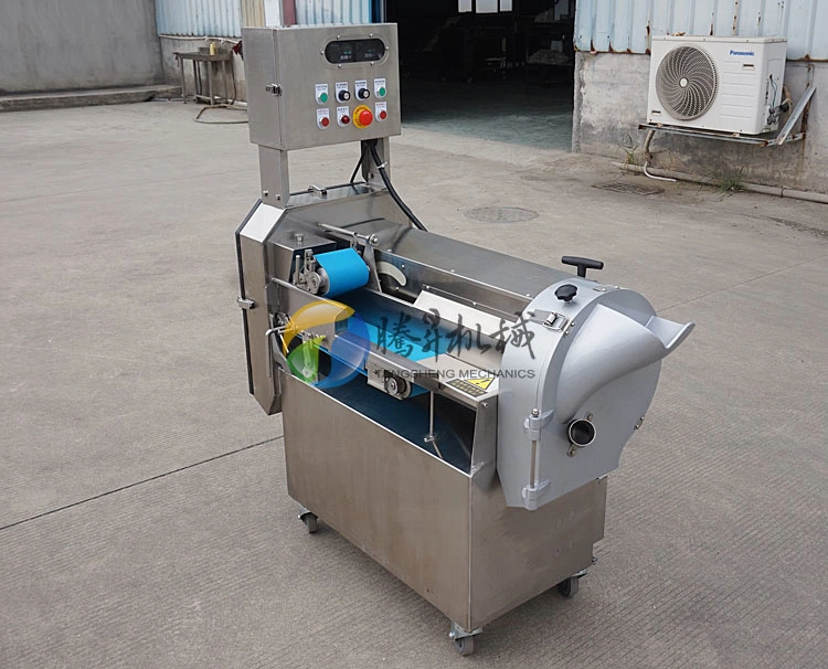 Multifunctional Double - Ended Vegetable Cutting Machine Potato Slicing Machine (TS-Q118B)