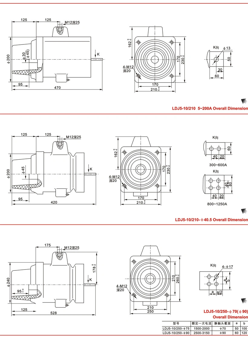 Ldj (1, 5, 6) -10 Indoor Cast-Resin 3150A 25va Current Transformer