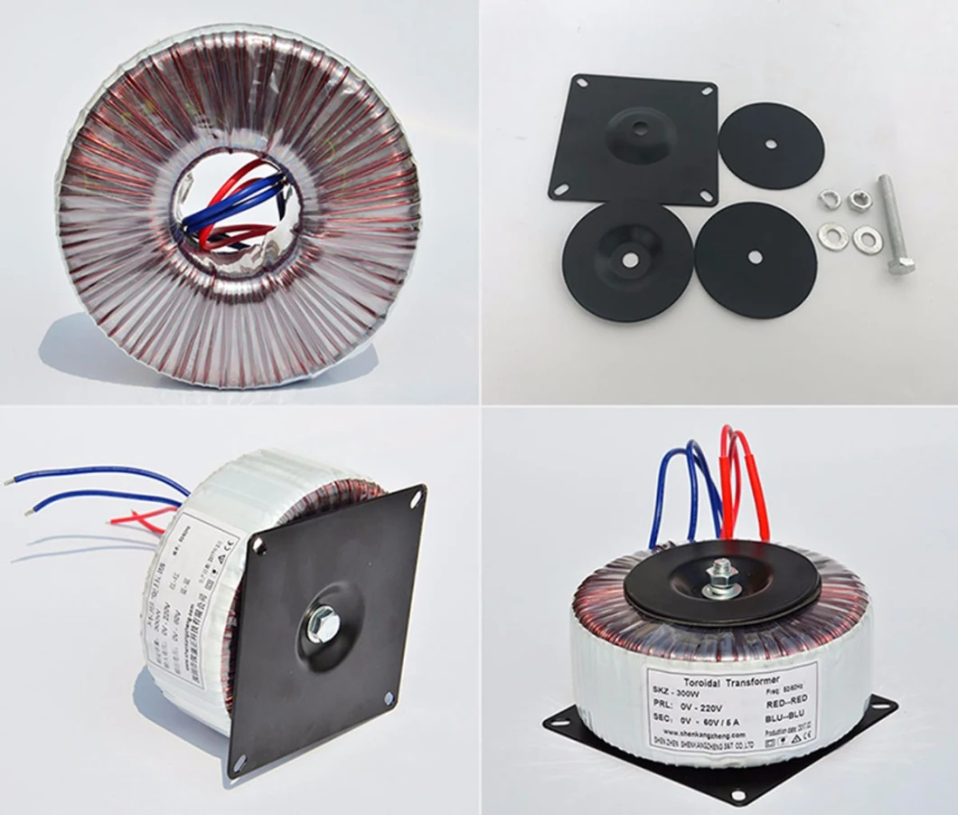 Factory Price Toroidal Transformer with Ce RoHS Approved