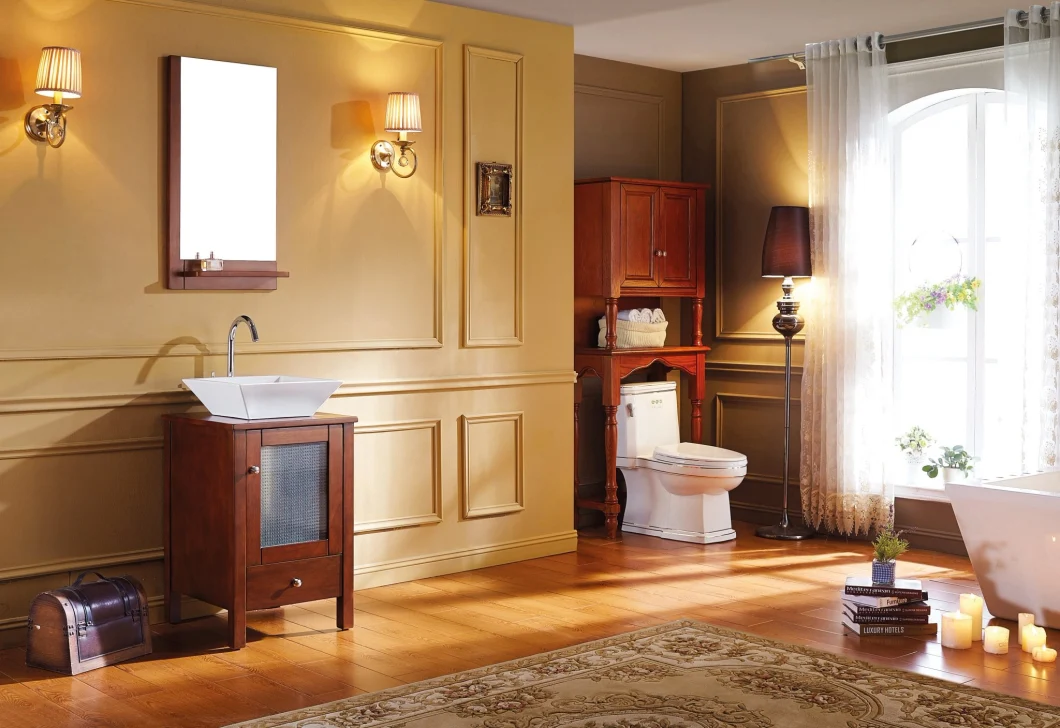 Woma Oak Wood Small Size Dtc Self Soft Hinges Bathroom Vanity (1003B)