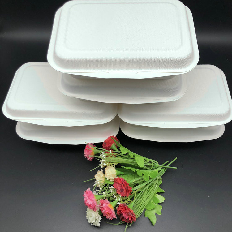 High Quality Bagasse  Sugarcane Unbleached Biodegradable  Food  Container