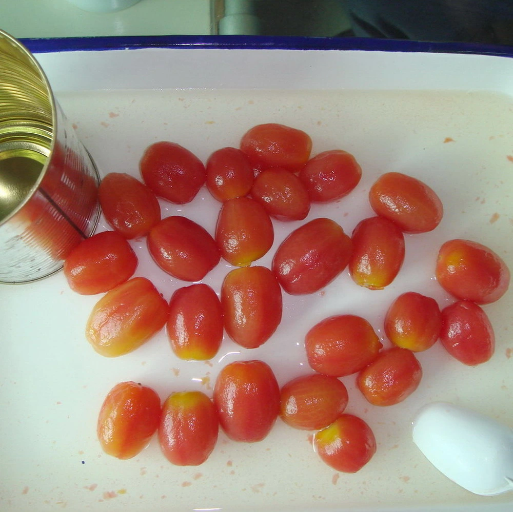 Healthy Food Canned Cherry Tomato in Jar Packing
