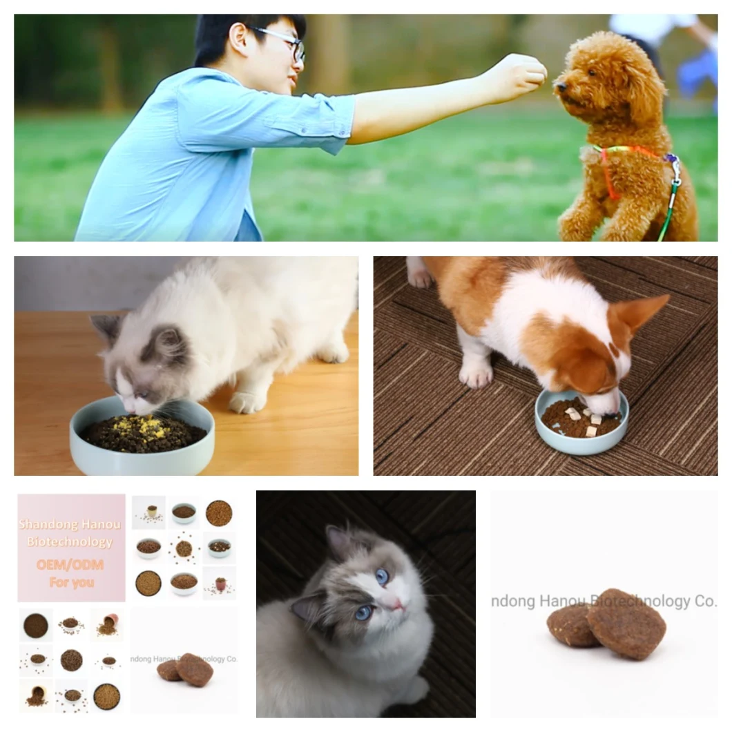 Cat Food Delicious Snacks Pet Snacks Pet Food Pet Products