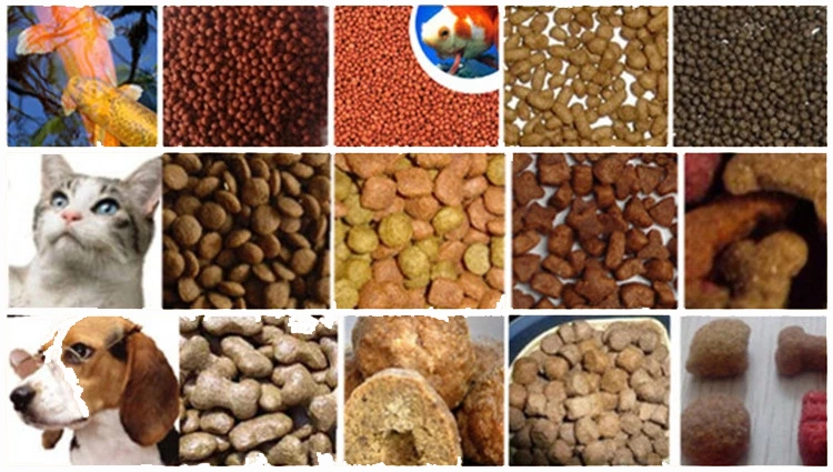 Animal Feed Processing Pet Food Production Line Dog Food Extruder Floating Fish Feed Extruder Machine