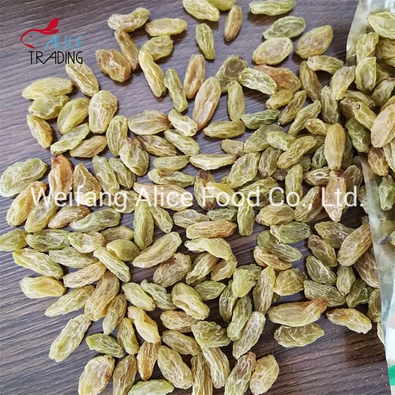 China Factory Directly Sale Cheap Price Dried Fruits Snacks Dried Green Raisin