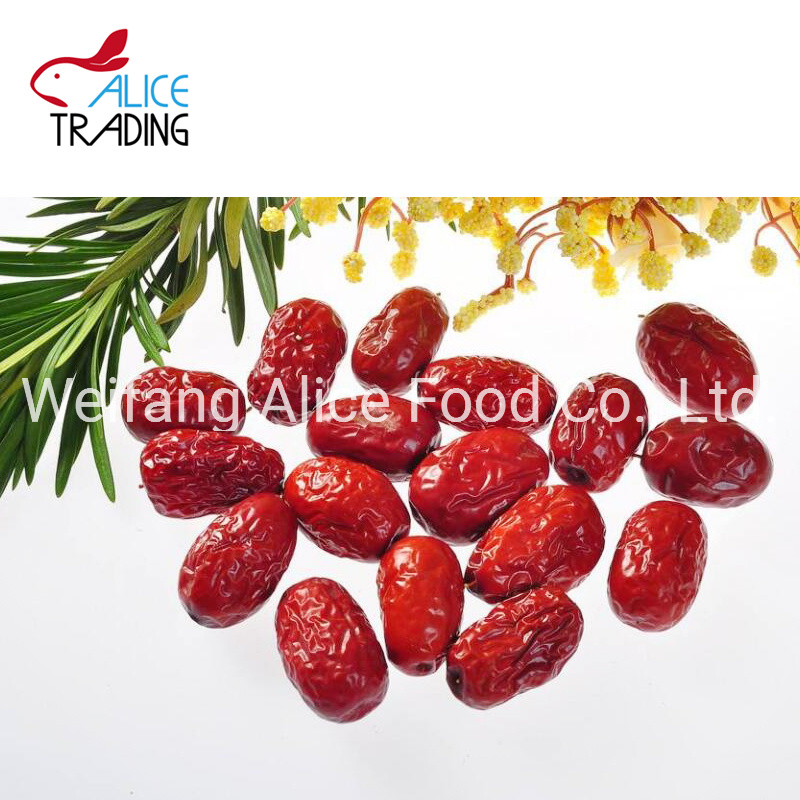 Healthy Fruit Snacks Manufacturer Low Calories Vacuum Fried Crispy Red Jujube Vf Dates