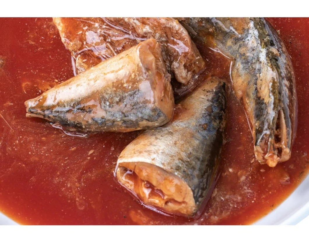 Fresh Sea Food Mackerel Fish Canned Fish in Tomato Sauce with Private Label