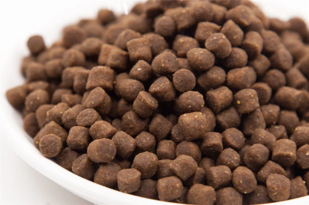 Dried Dog Food Pet Food Pet Product