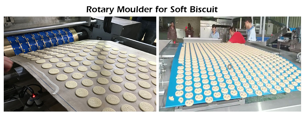PLC Control Biscuit Making Machine Cookie Production Line Marie Biscuit Forming Machine