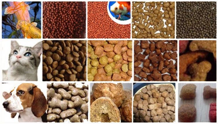 Wet Pet Food Pet Dog Food Processing Pet Food Filling Machine in Germany