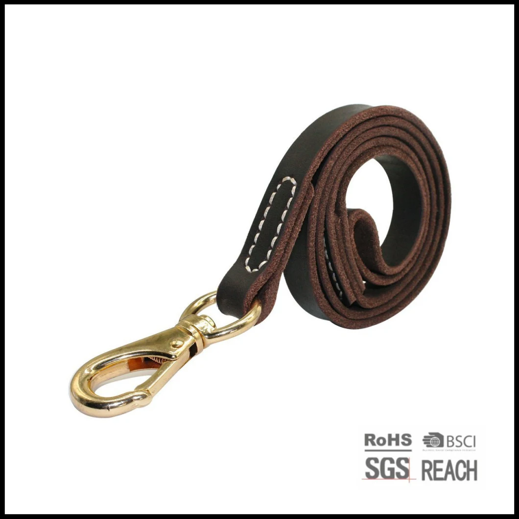 Pet Dog Products Supply Accessories Pet Dog Training Leads Leash
