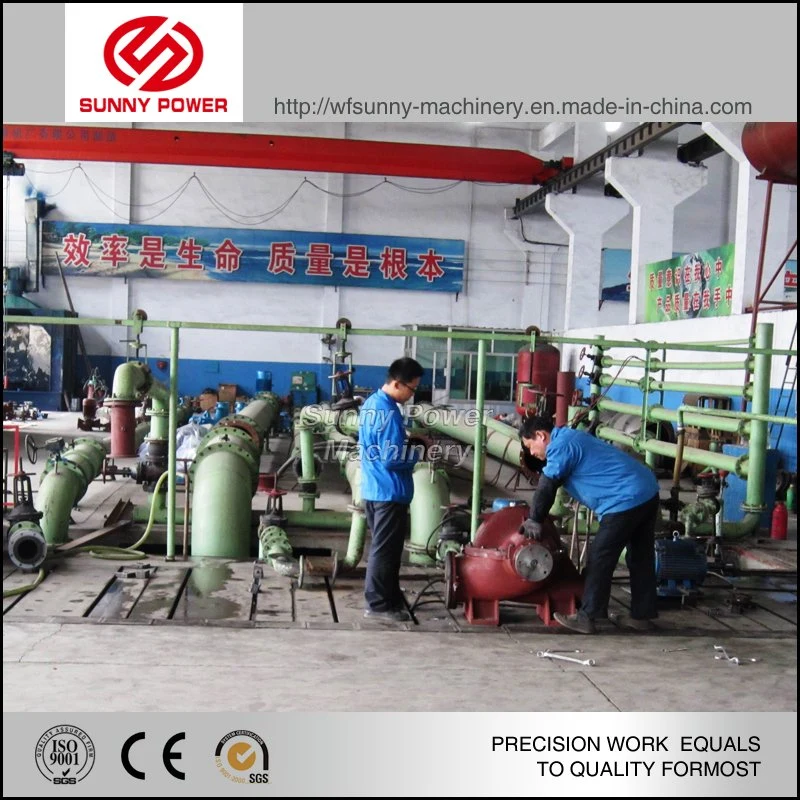 Submersible Pump/Electric Pump/Diesel Water Pump for Irrigation and Fire Fighting