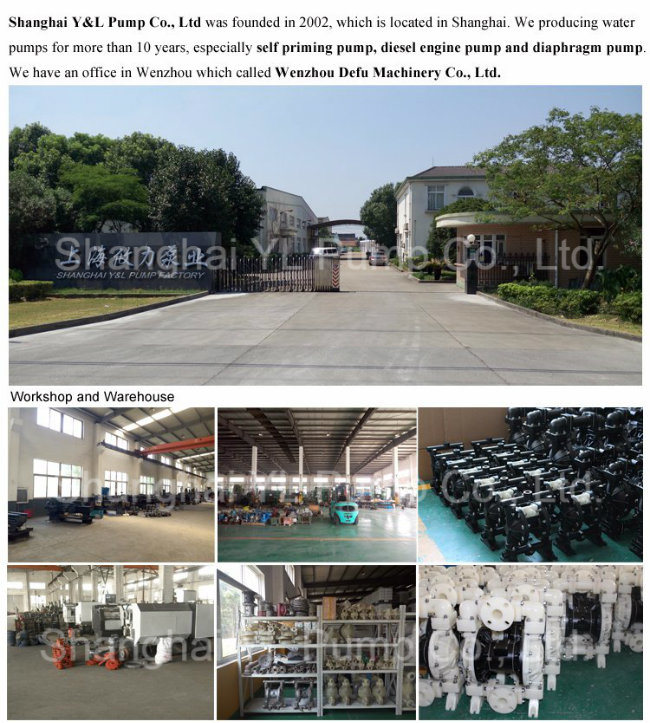 Submersible Slurry and Sludge Water Treatment Stainless Steel Diaphragm Pump