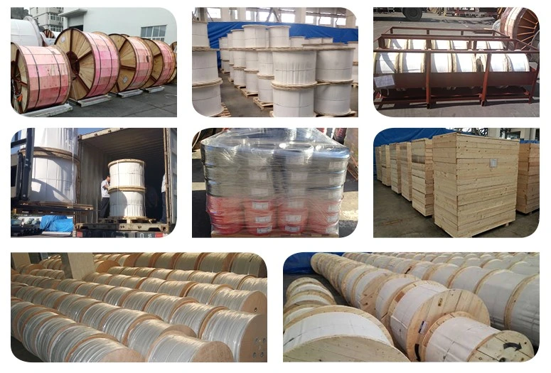 China Supplier Oilfield Power Cable, Electrical Submersible Pump Cable, Esp Cable