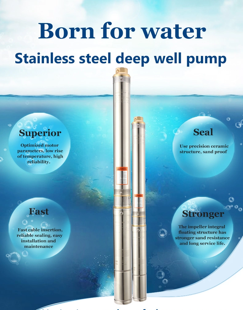 Sincen Pump 3sdm-2/17-0.55 High Quality Deep Well Submersible Pump