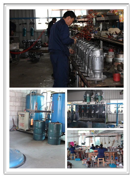 Stainless Steel Sewage Pump, Submersible Pump for Dirty Water