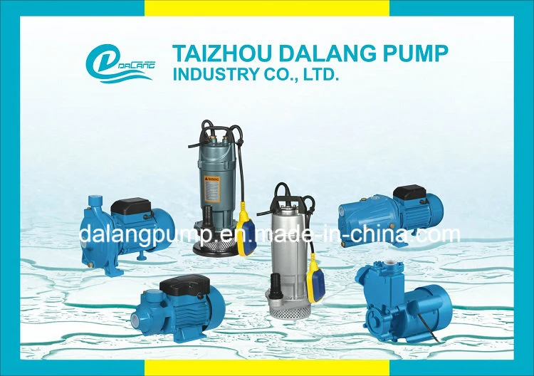 1HP Qdx Stainless Steel Submersible Water Pump for Nepal Market