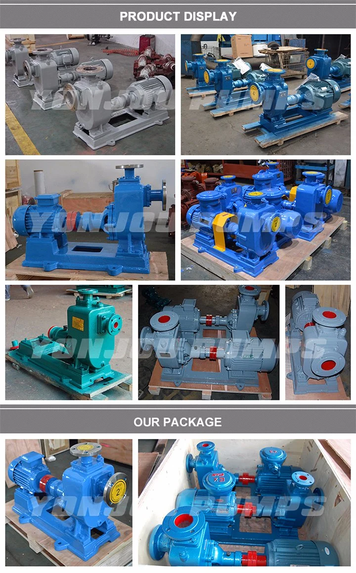 Zx Self Priming Centrifugal Sewage Pump (Self Sucking Pump)