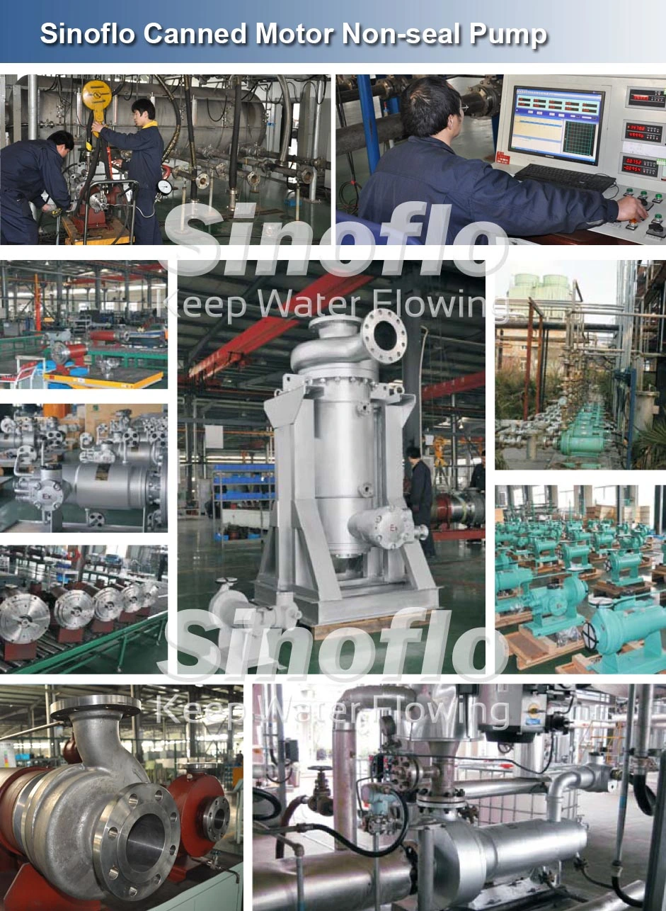 Canned Motor Non-seal Sea Water Submersible Pump