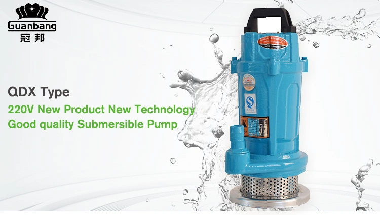Qdx Electric Submersible Water Pump 220V 0.5HP Pump