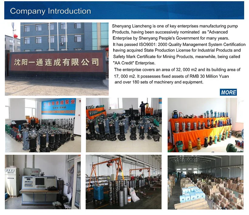 Vectrical Non-Clogging Submersible Sludge Suction Drilling Mining Drainage Sewage Water Pump