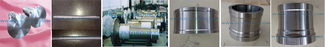 Centrifugal/Submersible Pump Mining Chemical Oil Industry Shaft Machining Parts in CD4/316ss/Titanium/Stainless Steel