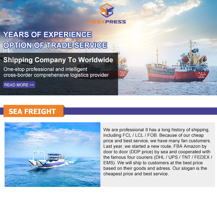 China Shipping Agent Logistics Service Sea Shipping to Saudi Arabia