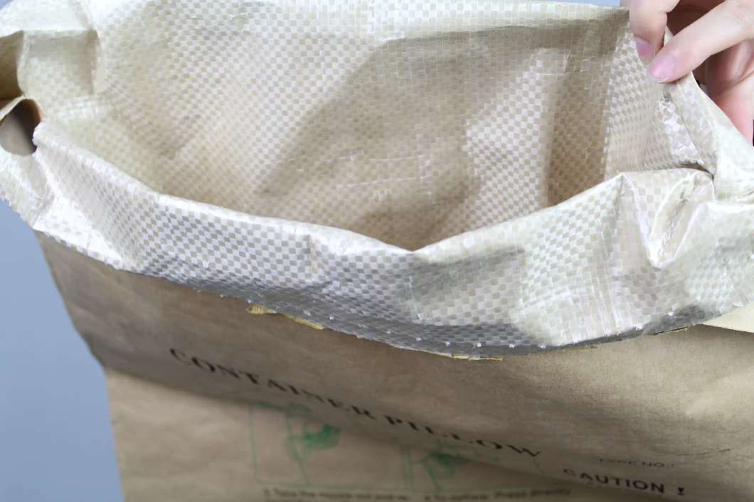 China Heavy-Duty PP-Woven Dunnage Bags/ Inflatable Air Bags/ Kraft Paper Container Bags/ Container Pillow