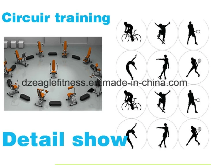 Women Fitness Equipment Hydraulic Cylinder Circuit Training Arm Curl