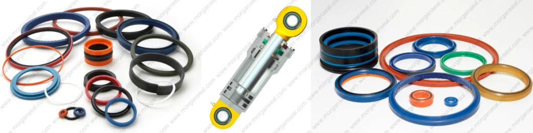 Ush Series Hydraulic Cylinder Piston and Rod PU/Rubber Seal