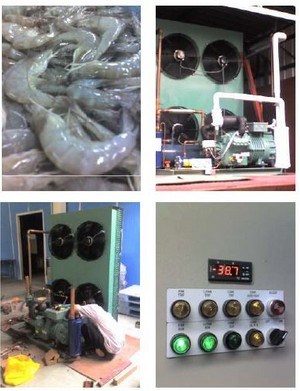 Pharmaceutical Cold Room Chiller Room Clean Room