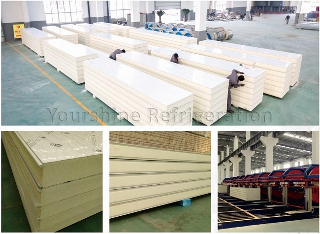 High Quality Color Steel PU Sandwich Panel for Cold Room and Refrigerator Panel