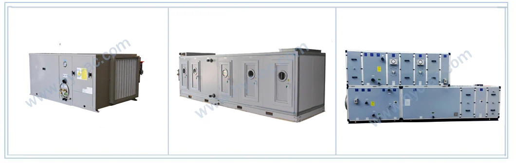 Hospital /Operating Room/Laboratory Modular Medical Ahu Clean Room Fresh Air Handling Unit (Heat Recovery)