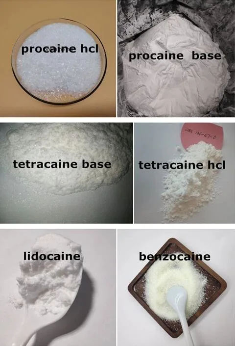 Local Anesthetic Pharmaceutical Raw Material  Articaine  Hydrochloride CAS 23964-57-0