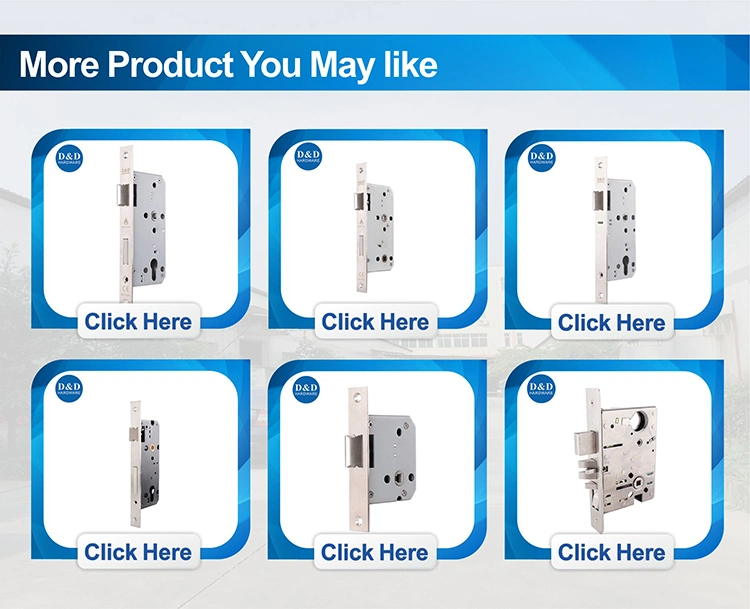 Euro CE Mortise X-ray Door Lock of Hospital Application