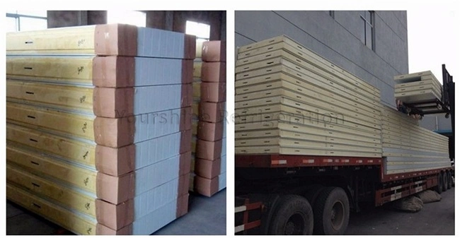 High Quality Color Steel PU Sandwich Panel for Cold Room and Refrigerator Panel