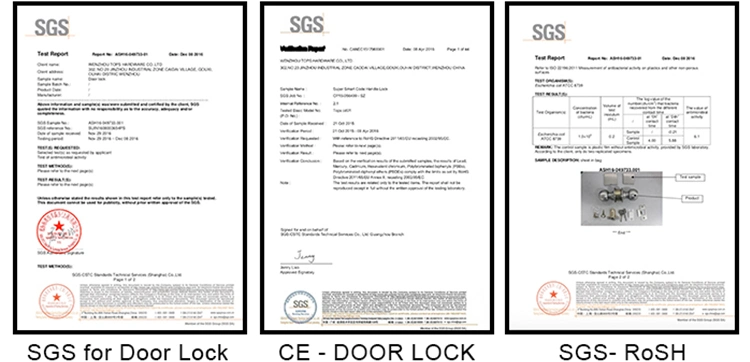 Door Locks Hardware Zinc Aluminum Alloy Split Type Lever Luxury Door Handle for Door Lock