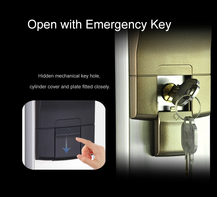 Keyplus Top Smart Swipe Key Electronic Door Handle Weatherproof Outdoor Smart Lock Mechanical Key Door Lock