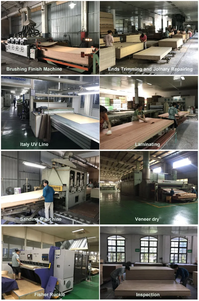 Door Skins & Plywood Price in China