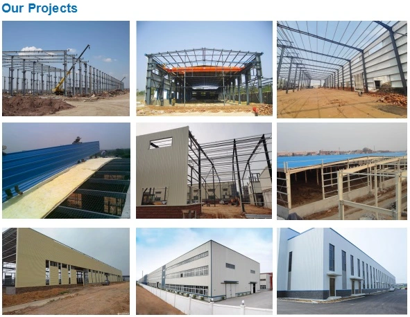 Easy Installation Prefab Light Steel Structure Shed