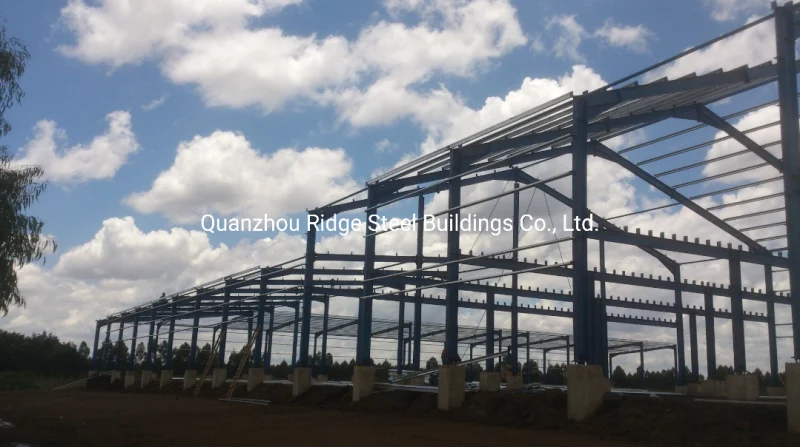 Large Scal Prefabricated Steel Structure Shopping Mall