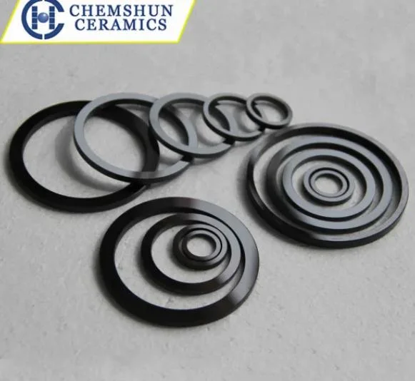 Ssic Silicon Carbide Ceramic Seal Ring