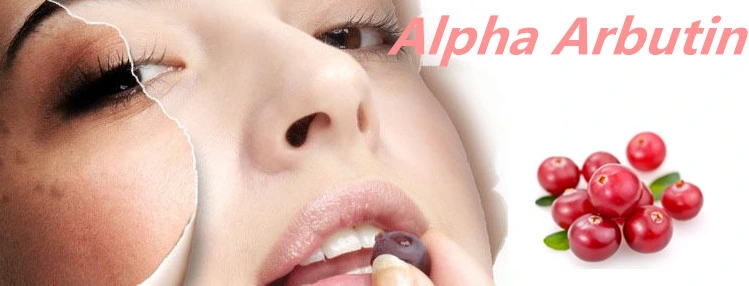 Beauty Care Product Alpha Arbutin Powder