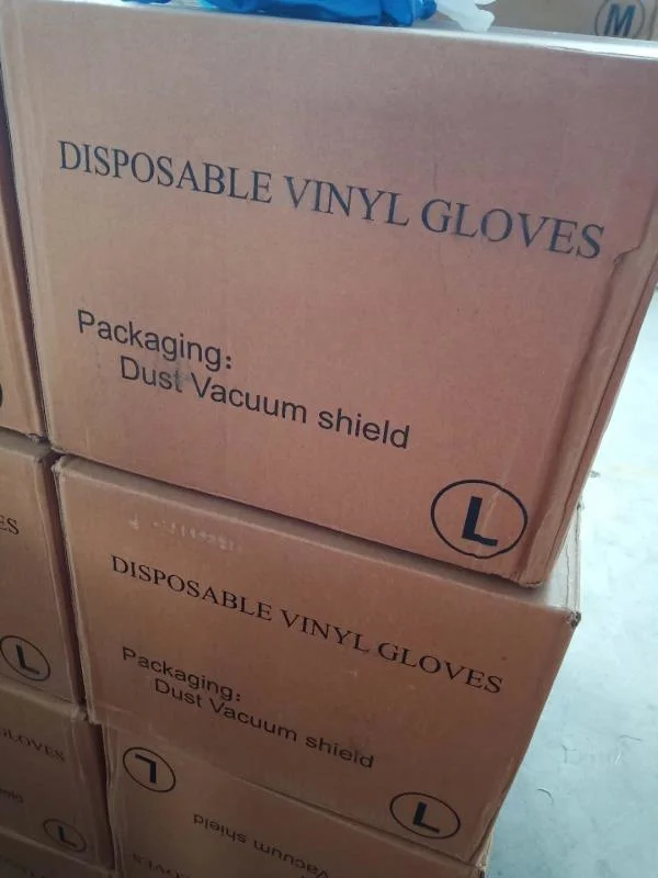 Disposable Protective Transparent Adult PVC Gloves