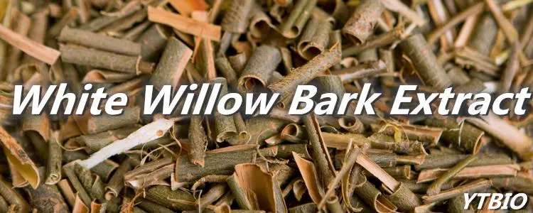 White Willow Bark Extract Powder 30% Salicin