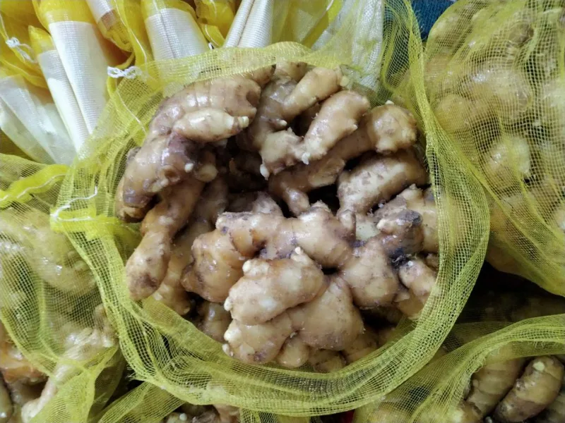 Packed Chinese Fresh Ginger to Pakistan Market