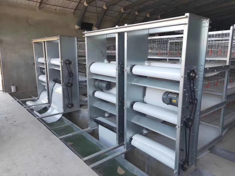 Poultry Farm Equipment Broiler Chicken Cages