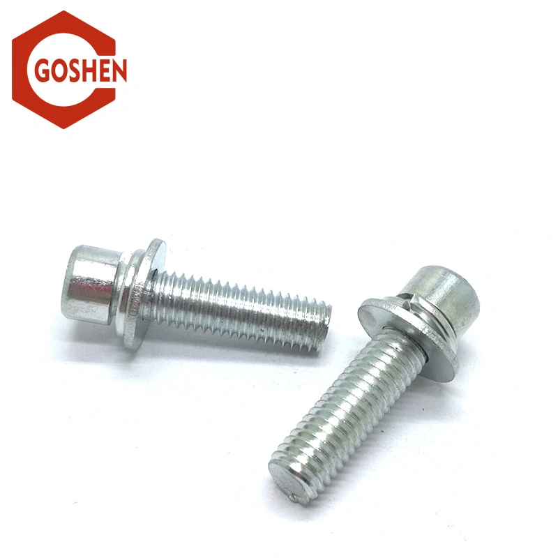 Hex Socket Screws with Spring Washers